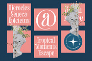 Trangels New Tall Serif Display, a Serif Font by timelesstype.co (Thumbnail 13 of 20)