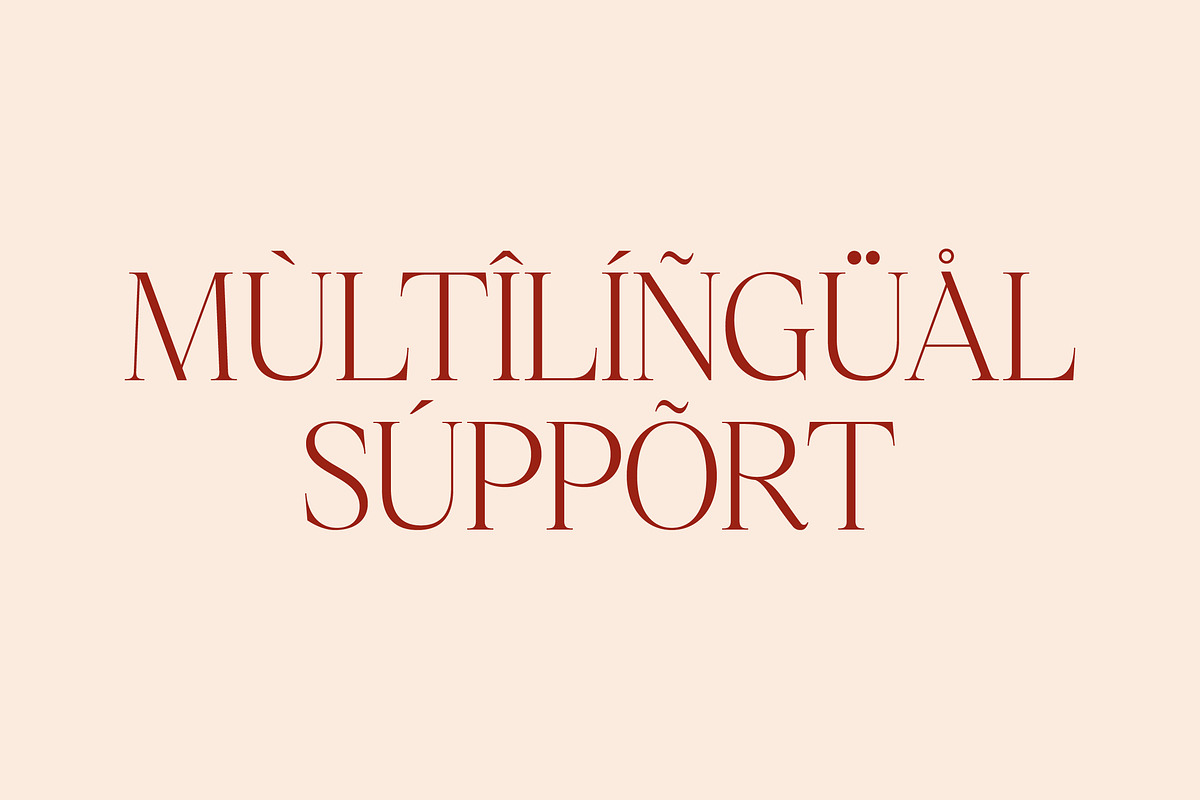 Nagista Modern Serif Font, a Serif Font by Letterena Studios (Photo 11 of 15)