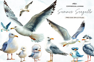 Watercolor Summer Seagulls Clipart, an Illustration by CreationArt