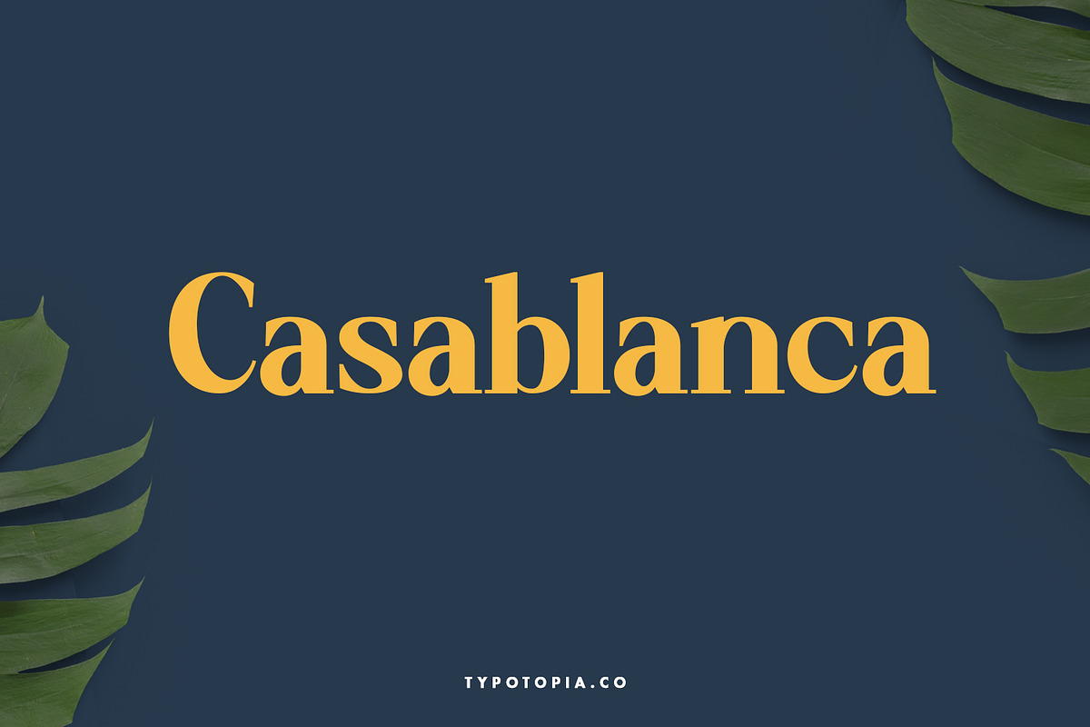 Artemis Fancy Sans Serif Typeface, a Sans Serif Font by edukka (Photo 3 of 7)