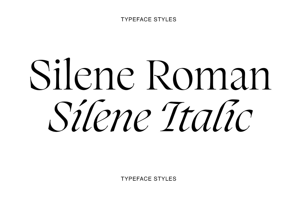 Silene - Elegant Serif Typeface, a Serif Font by Piotr Łapa (Photo 2 of 12)