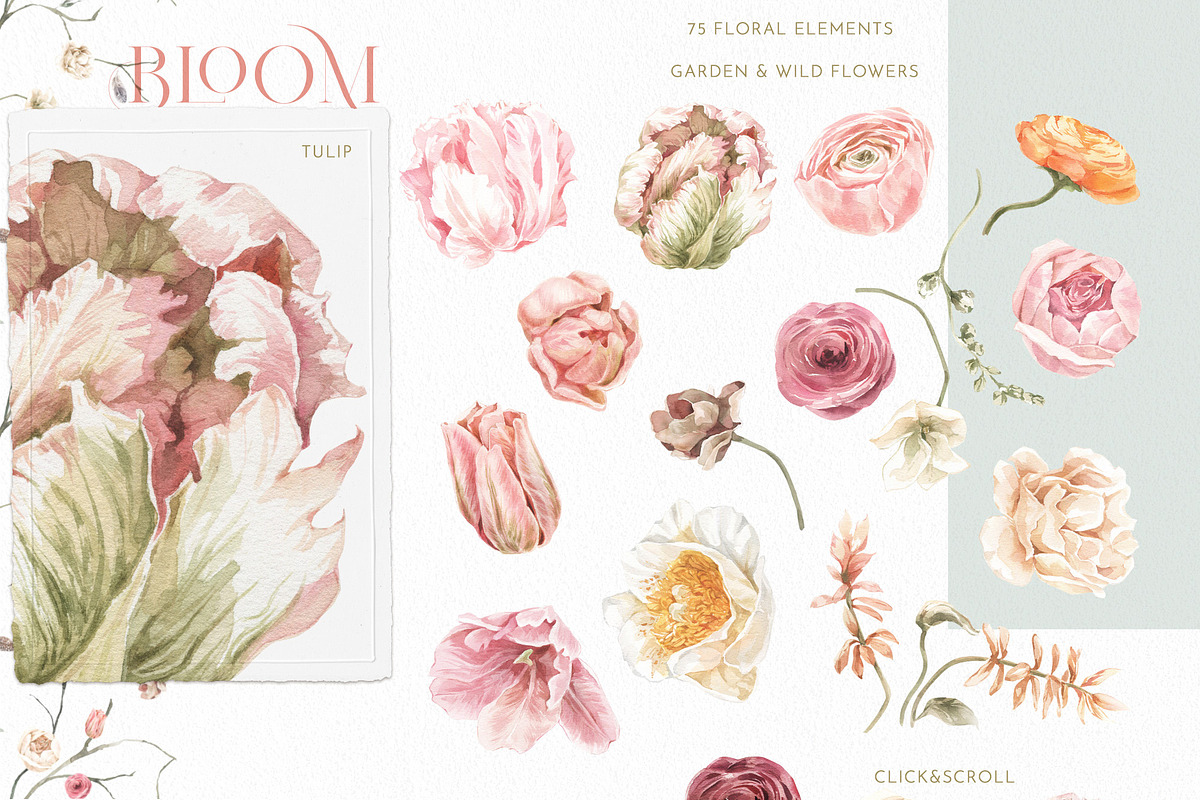 -20% Bloom Floral Watercolor Bundle, an Object Graphic by Cat In Colour (Photo 3 of 14)