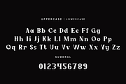 Evhoren - Serif Bold Font, a Serif Font by QR Design Studio (Thumbnail 6 of 12)