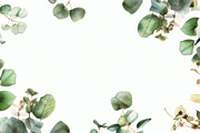 99 Frames of green leaves, a Nature Photo by Handmadefont (Thumbnail 62 of 100)