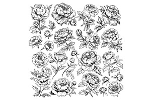 Peony Flowers Engraving Style Icons, an Object Illustration by LadadikArt