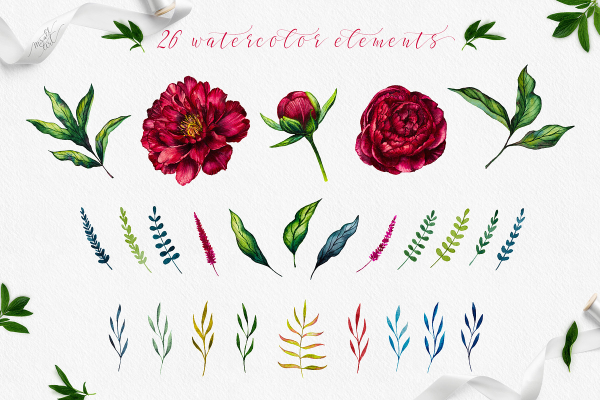 Watercolor peony flower, an Illustration by MiraEl Art (Photo 13 of 15)