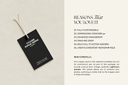 Cyllene | Showit & Canva Template, a Landing Page Template by Lavinia Visuals (Thumbnail 9 of 10)
