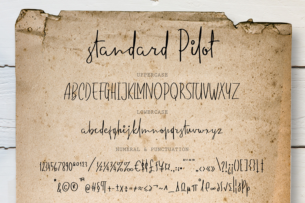 Standard Pilot preview 6