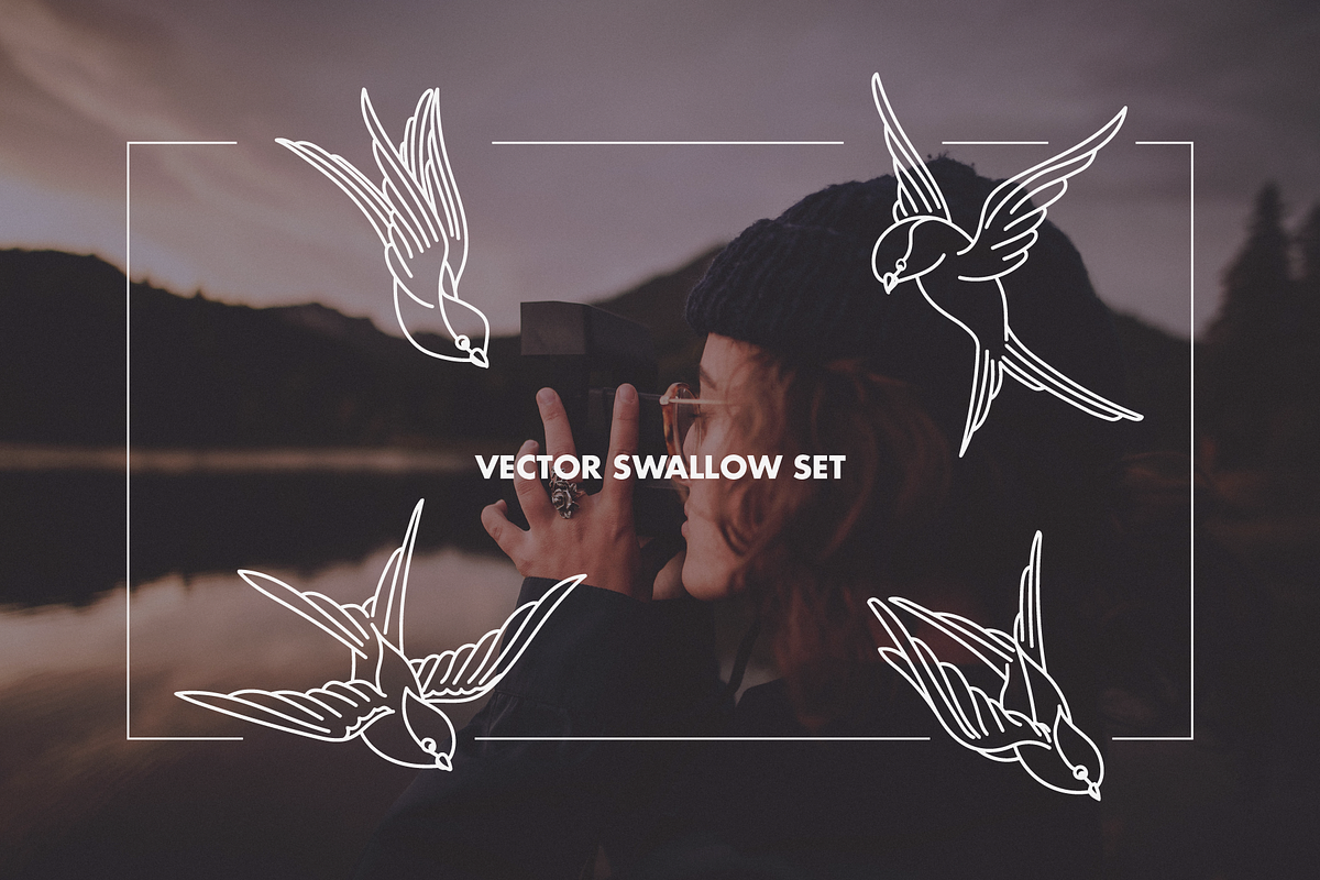 Swallow Illustration Set, an Illustration by Inkwell Supply Co (Photo 1 of 5)