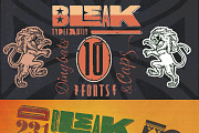 Bleak Type Family / 10 Fonts, a Sans Serif Font by Andinistas Fonts (Thumbnail 9 of 10)
