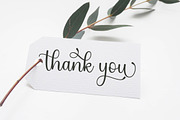 Mount Loneli, a Script Font by Strong.co (Thumbnail 7 of 7)