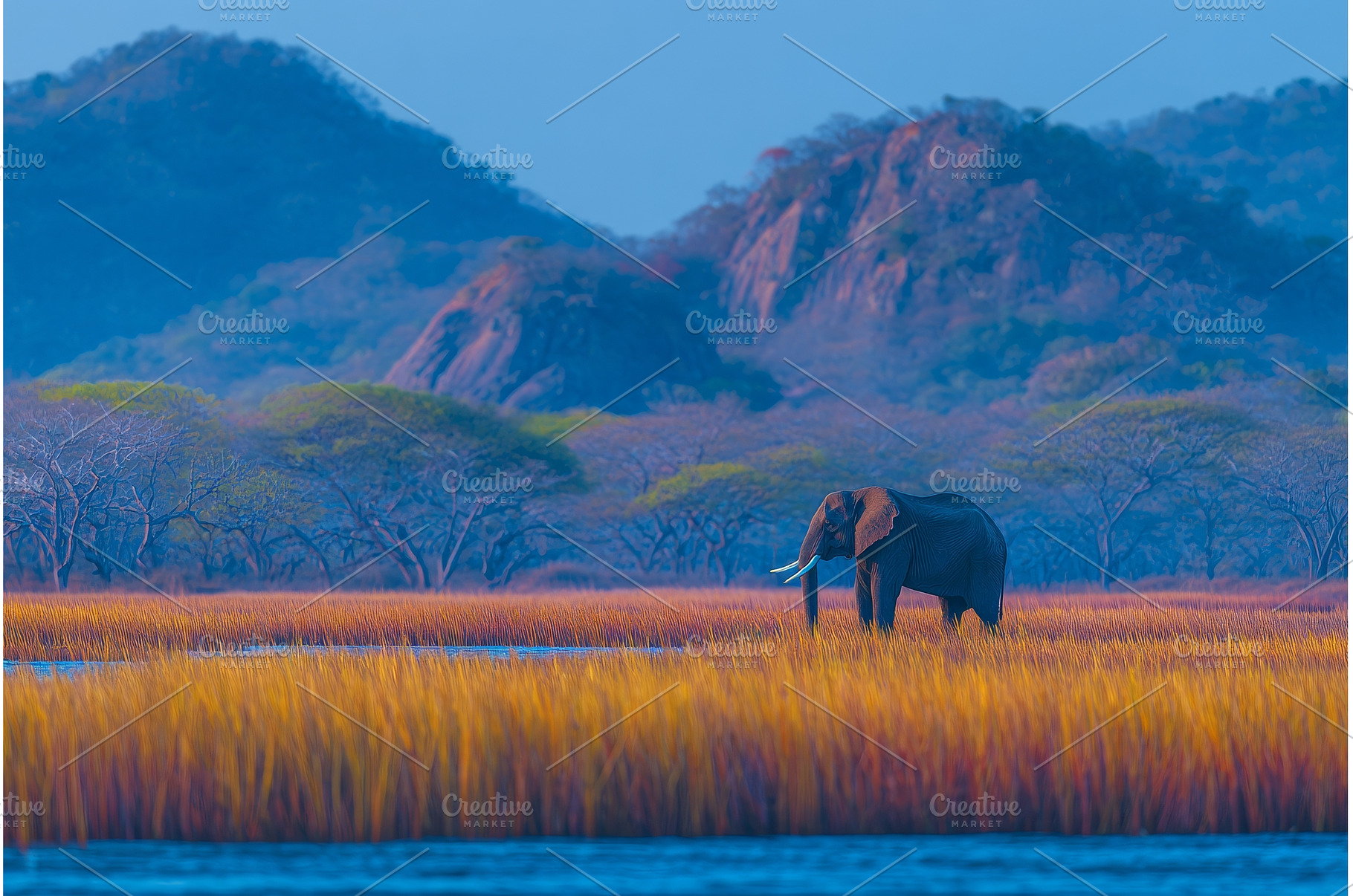 In Sri Lanka, within the, an Animal Photo by ZinetroN