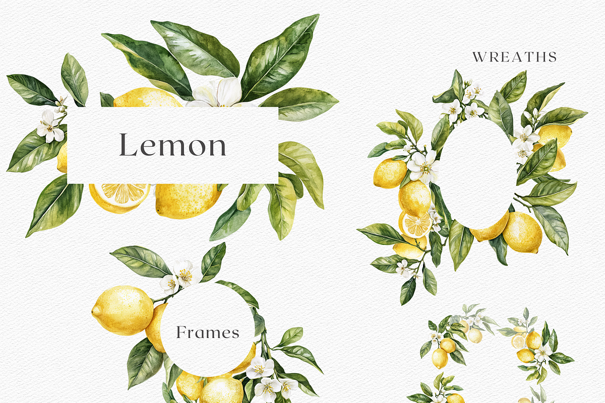 Sicilian Lemon - Watercolor clipart, a Decorative Illustration by ThaismotaCreativeCo (Photo 6 of 9)