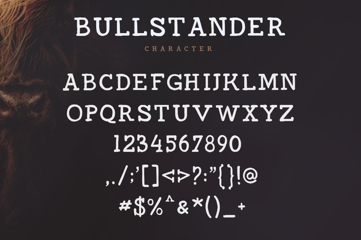 Bullstander 6 Font Set - 60% OFF, a Script Font by Dirtyline Studio (Photo 13 of 16)