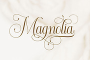Morgalino - Wedding Script Font, a Script Font by Flawless And Co (Thumbnail 4 of 10)
