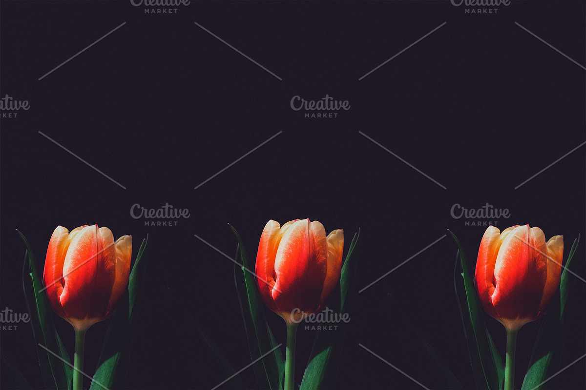 Easter Stock Photo Bundle - 75% OFF!, a Holiday Photo by GetMockups (Photo 12 of 21)
