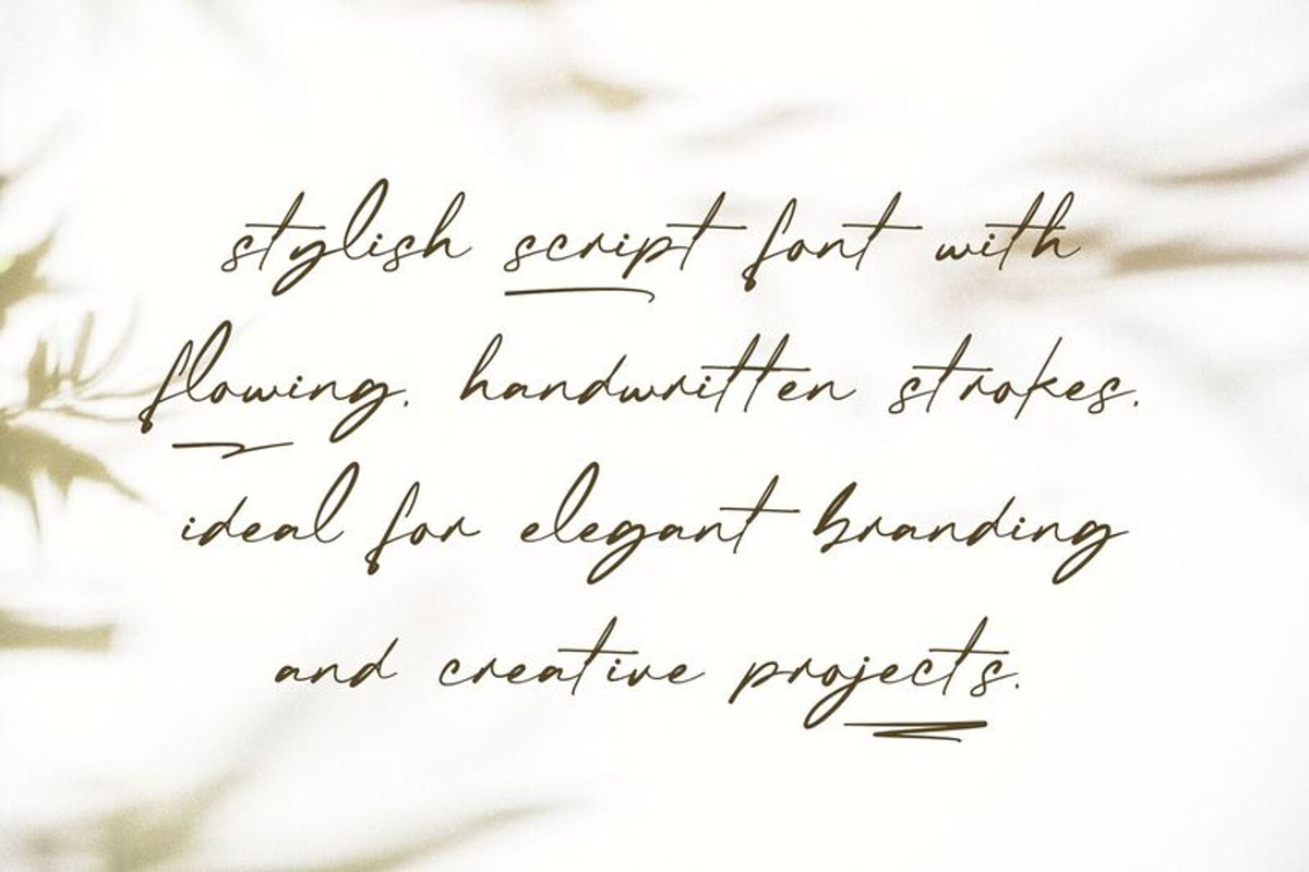 Checkbold, a Script Font by Muwatta Studio (Photo 4 of 15)