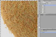 Kiwifruits, a Food & Drink Photo by Hortimages (Thumbnail 2 of 2)