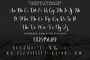 Trainer Fantasy, a Handwritten Font by InermediaSTUDIO (Thumbnail 8 of 8)