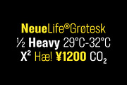 FT Neue Buddy - 5 Styles Sans Serif, a Sans Serif Font by fuzztype (Thumbnail 6 of 15)