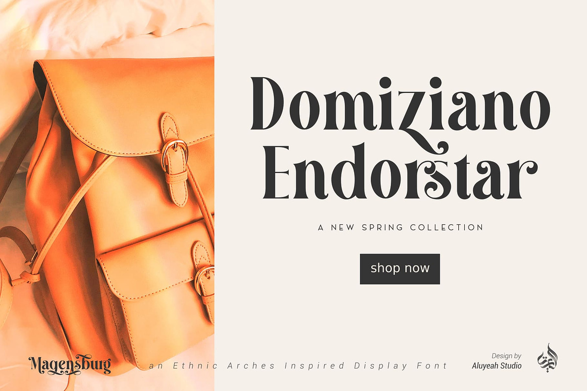 Magensburg | Modern Display Font, a Font by Aluyeah Studio (Photo 4 of 17)