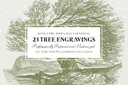 29 Branches, Twigs & Leaves (+Bonus), an Illustration by Century Library (Thumbnail 3 of 8)