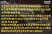 Magnific, a Script Font by Nathatype (Thumbnail 10 of 10)