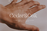 Night Whispers - Elegant Serif, a Serif Font by Mikhail Kitsune (Thumbnail 5 of 10)