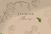 Jasmine Flowers Line Art Elements, an Illustration by Olya Creative (Thumbnail 1 of 6)