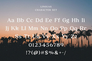 Linguas - Nostalgic Serif Font