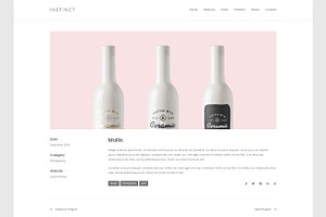 Instinct - Blog & Portfolio Theme