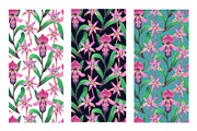 Crazy orchids. Vector patterns., a Pattern Graphic by Robusta (Thumbnail 6 of 17)