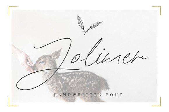 Jolimer preview 8