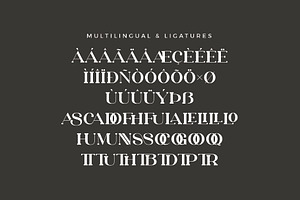 Jason - Modern Serif Font