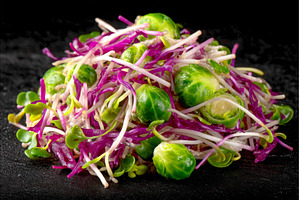 On a dark background, sprouts and, a Food & Drink Photo by ZinetroN