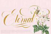 GLOWING ROMANCE — Luxury Calligraphy, a Script Font by Enxyclo Studio (Thumbnail 4 of 22)