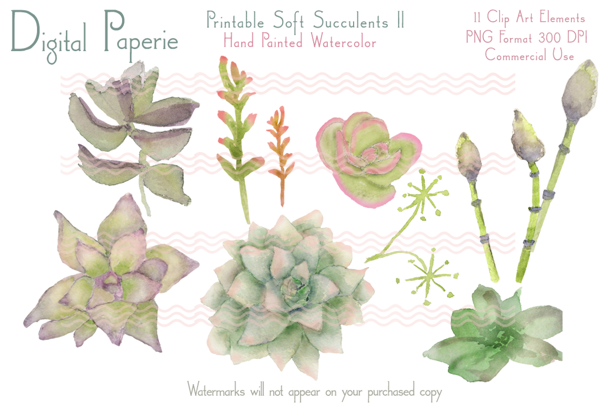 Digital Watercolor Succulents II, an Illustration by Digital Paperie (Photo 2 of 2)