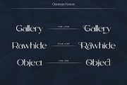 Morely, a Font by Nathatype (Thumbnail 8 of 10)