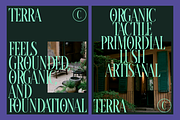Calixon - Serif Condensed Font, a Serif Font by Indotype Foundry (Thumbnail 8 of 10)