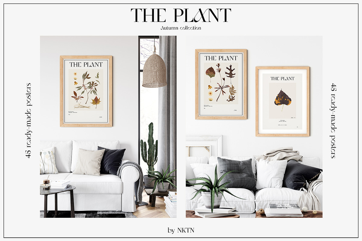 The PLANT. Autumn collection, a Pattern Graphic by NKTN (Photo 8 of 18)