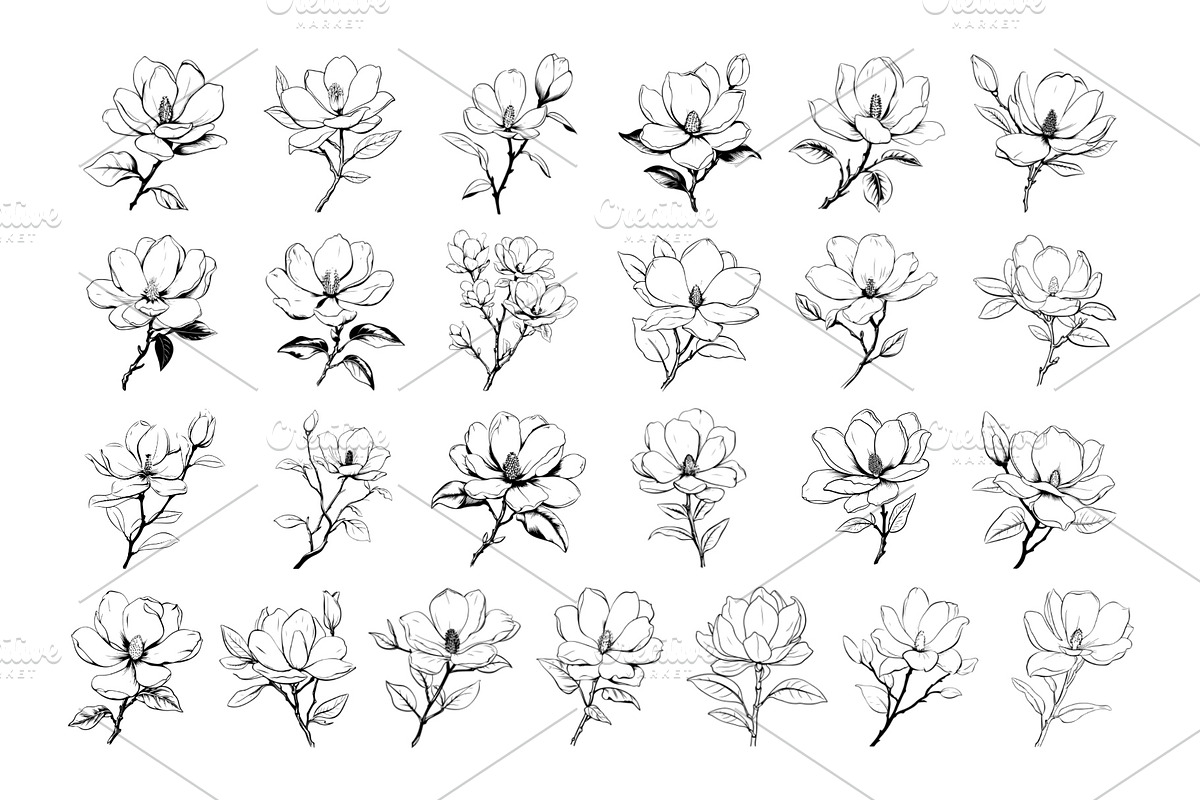 50 Magnolia Procreate Stamps Brushes, a Brush Add-On by Procreate Sale (Photo 5 of 6)