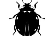 20 Ladybug Silhouette Mega, an Object Graphic by Designer_Momina (Thumbnail 16 of 20)