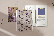 English garden, a Decorative Illustration by LanaDzi (Thumbnail 6 of 11)