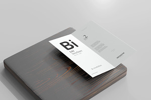 100x DL Brochure Mockup Bundle