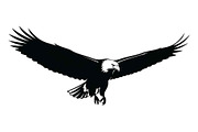 50 Flying Eagle Silhouette Vector Bu, an Illustration by Designs_River (Thumbnail 19 of 51)
