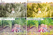 Spring Presets - Lightroom Presets, an Action Add-On by Lensgrade.com (Thumbnail 6 of 15)