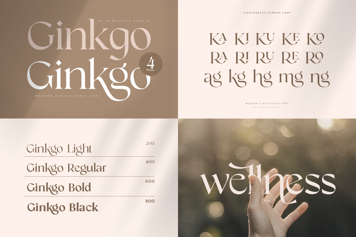 Unique Branding Modern Font Bundle, a Serif Font by Sensatype (Photo 7 of 13)