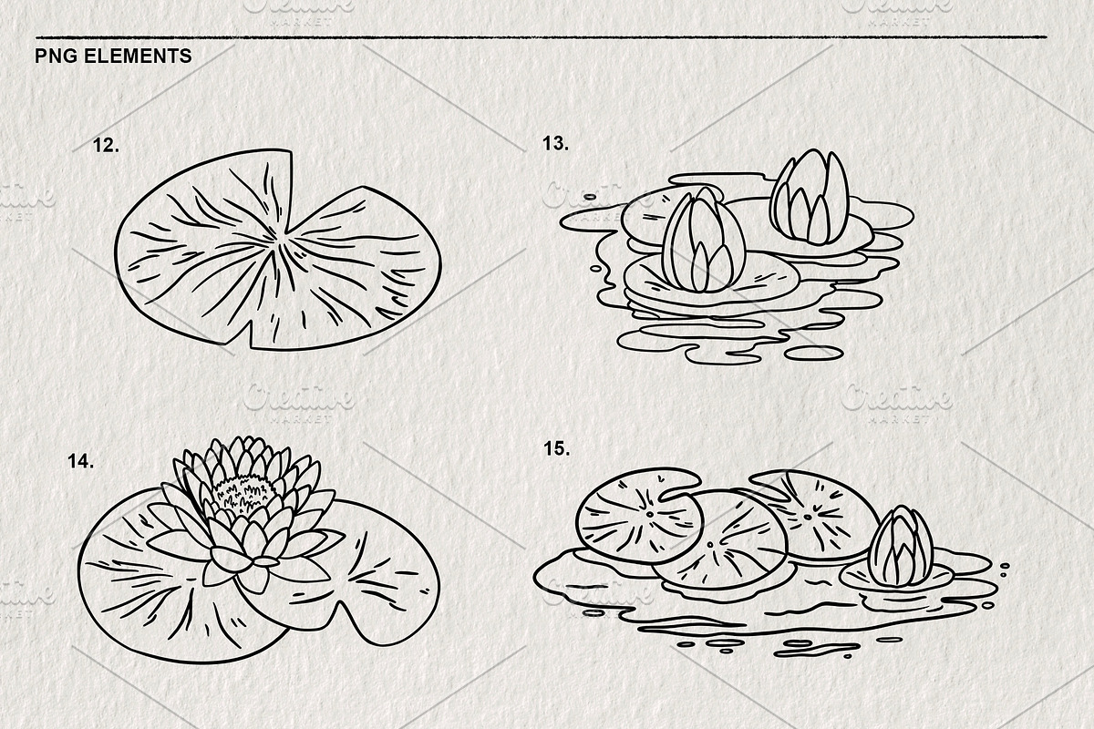 Set of water lilies and flowers PNG, a Decorative Illustration by LOKSKIH (Photo 5 of 10)