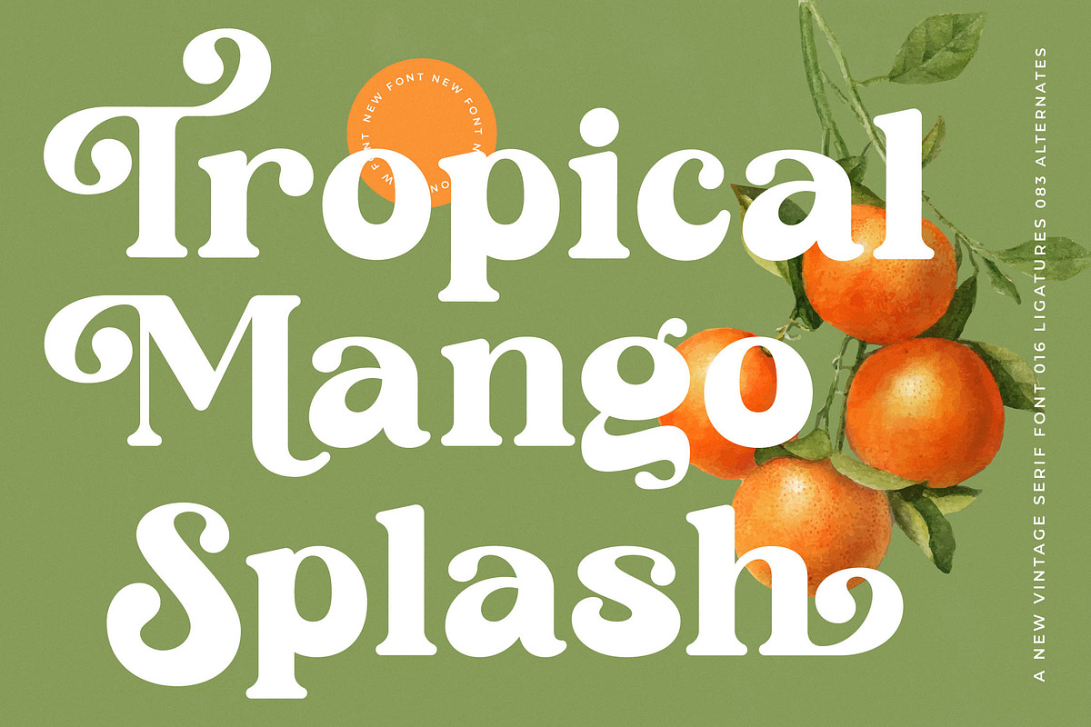 Sunday Ginger Vintage Serif, a Serif Font by timelesstype.co (Photo 5 of 20)
