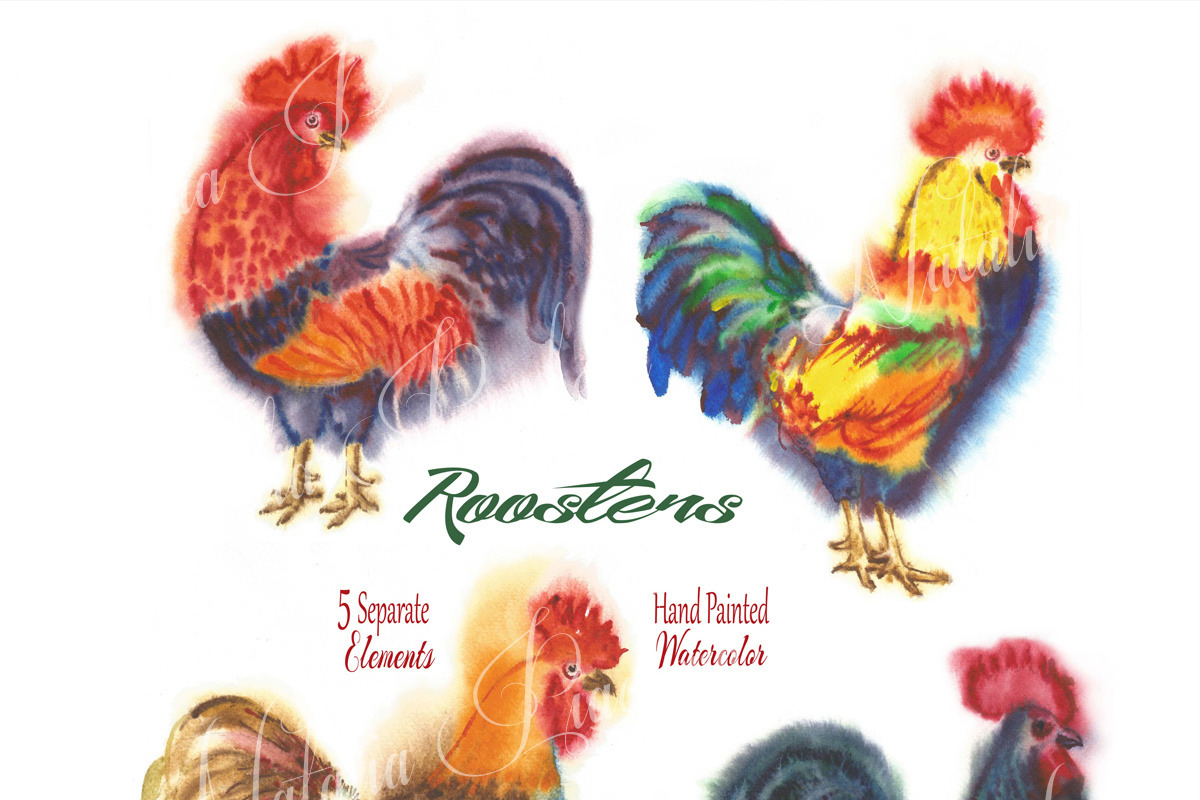 Watercolor Roosters, a Decorative Illustration by Nataliapiache (Photo 2 of 6)
